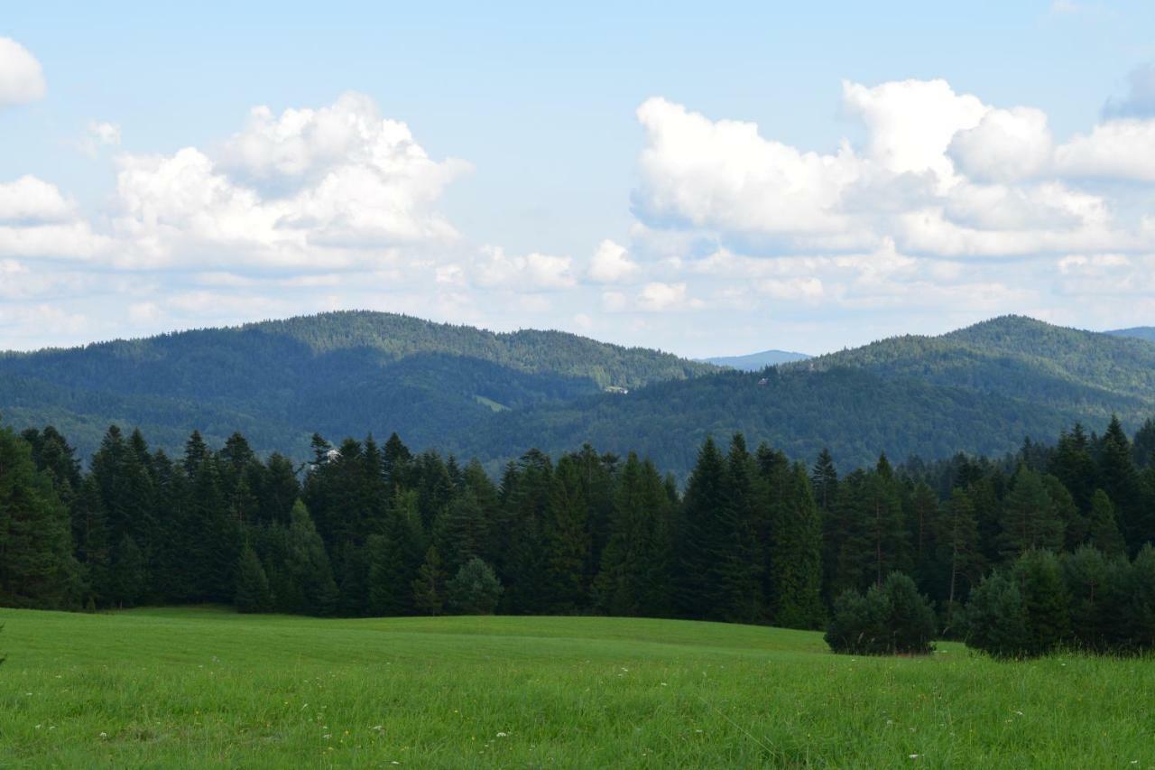 Forrest Apartment Krynica Luaran gambar